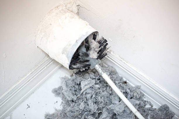 Best Air Duct Sanitizing Services  in Wakefield, NE